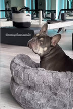 "Bubbas Legacy" Ankle Grip Socks