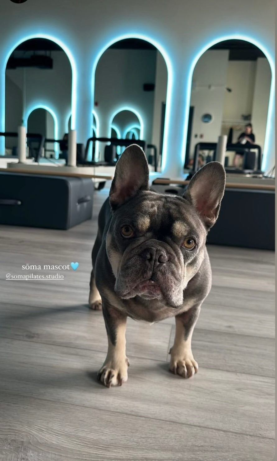 "Bubbas Legacy" Ankle Grip Socks