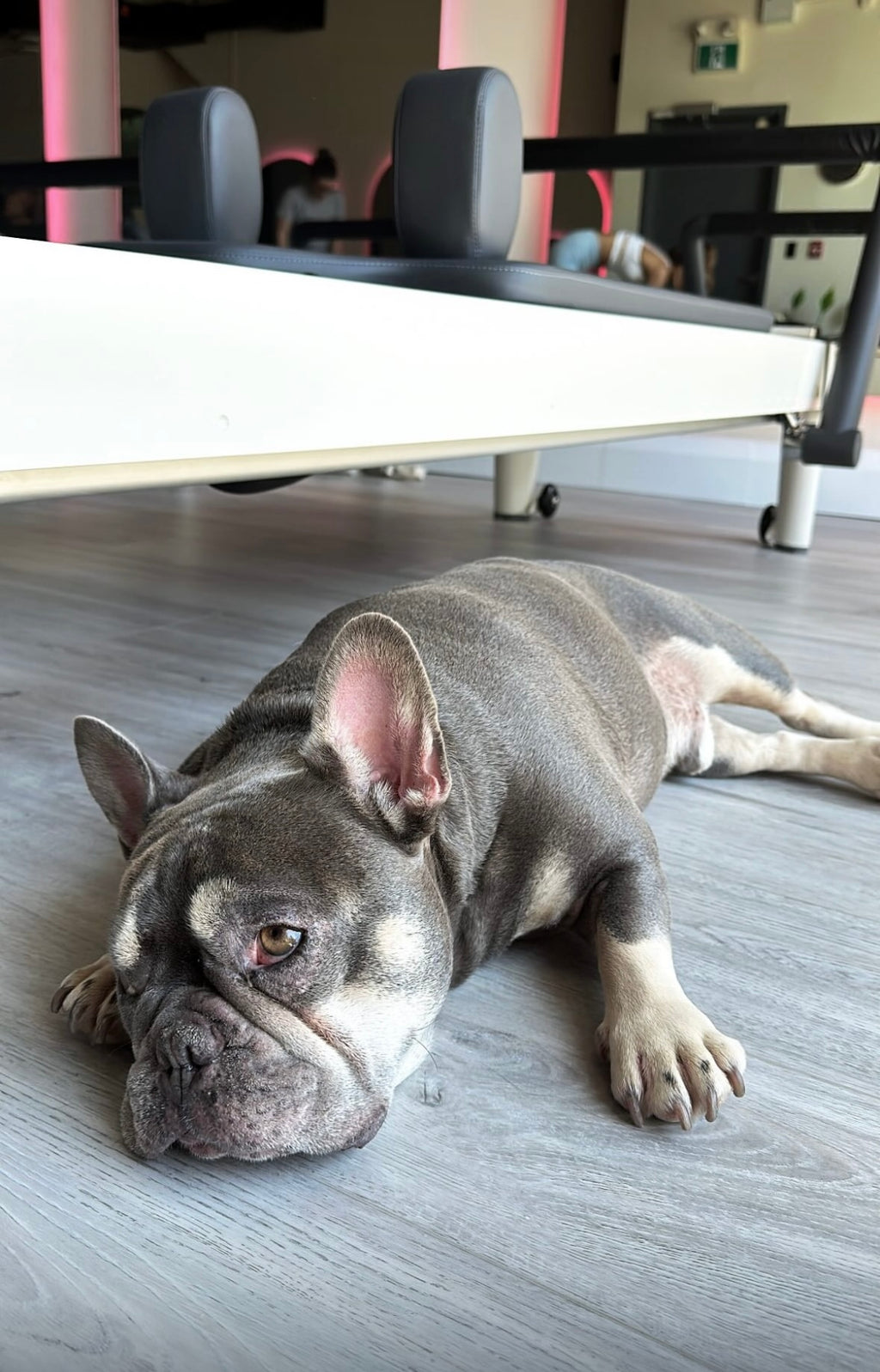 "Bubbas Legacy" Ankle Grip Socks